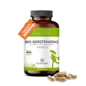 Bio Gerstengras Kapseln