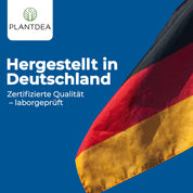 Magnesiumbisglycinat Kapseln