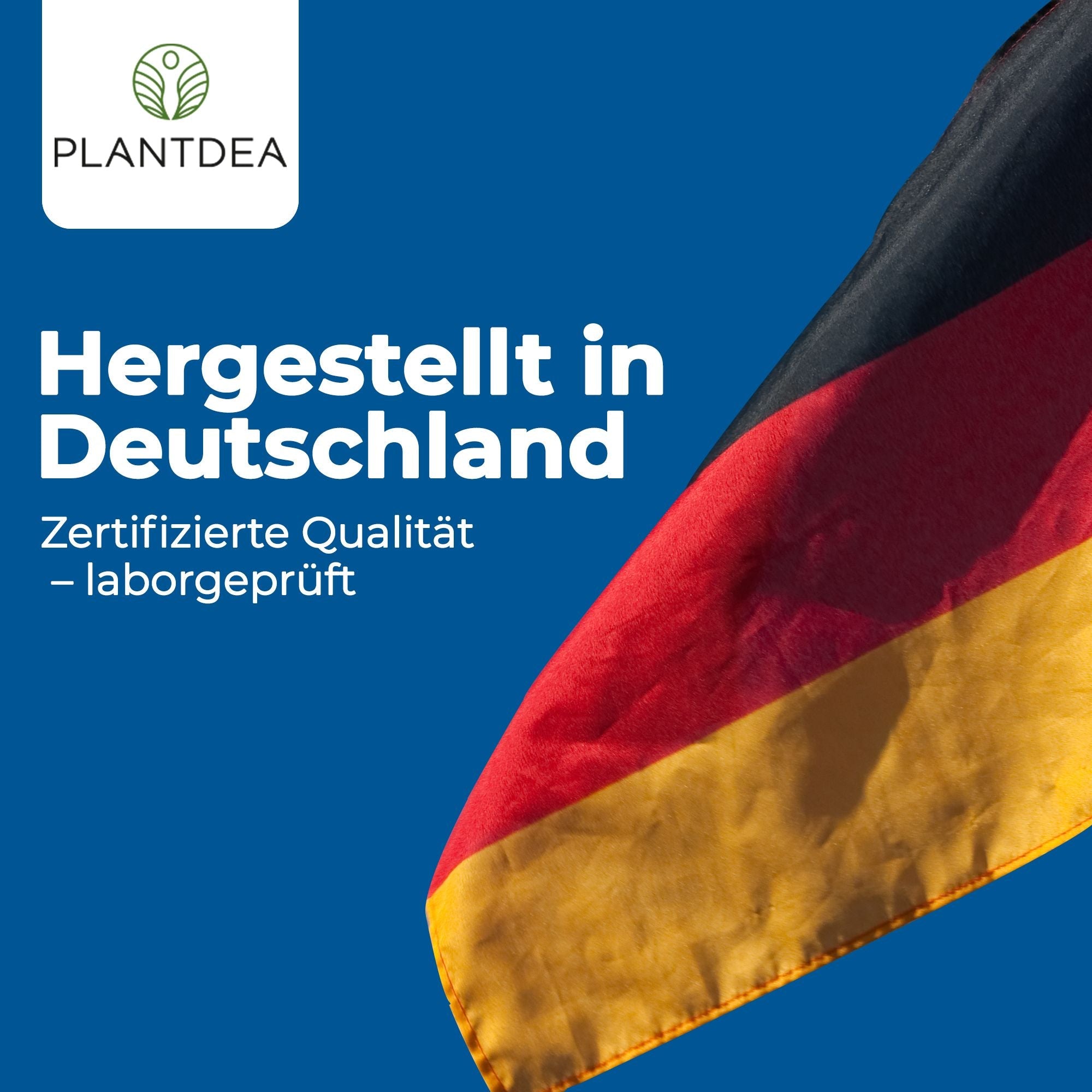 Magnesiumbisglycinat Kapseln