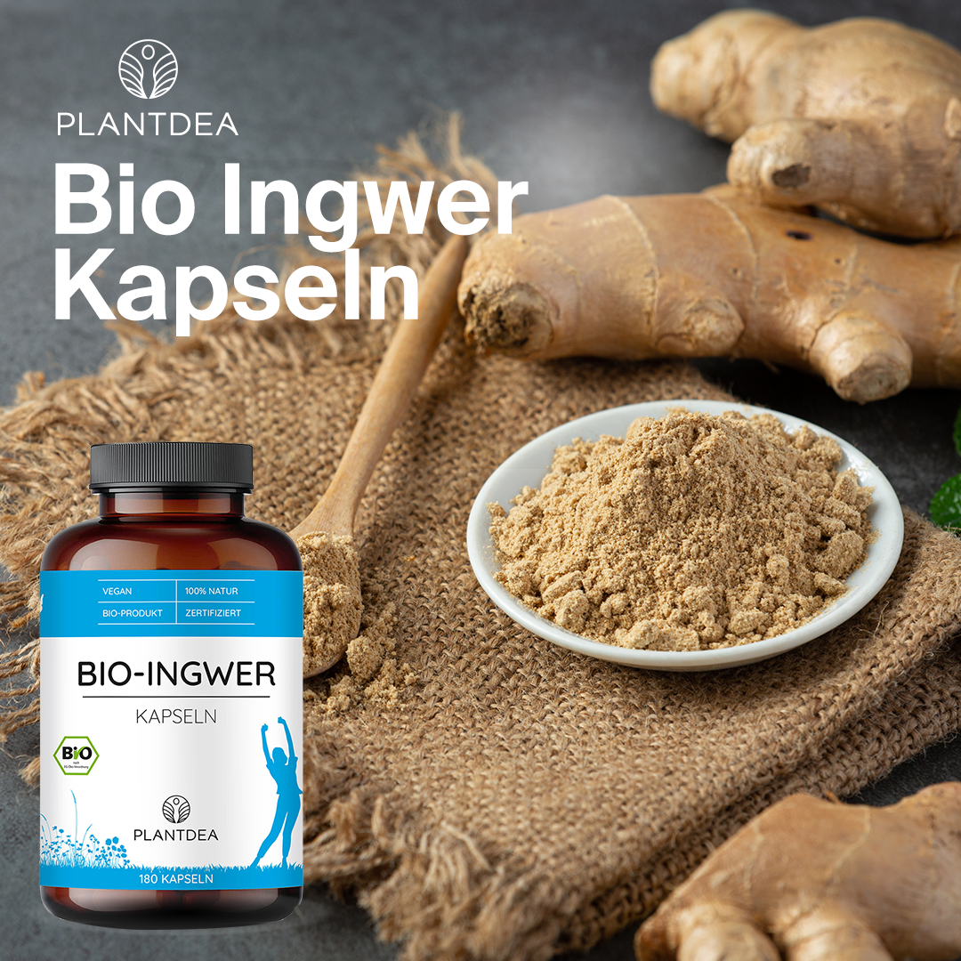 Bio Ingwer Kapseln