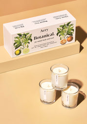 Aery Botanical Geschenkset mit drei weißen Sojakerzen in Glasbehältern und Verpackung mit Zitronen- und Orangenillustrationen;