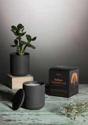 Aery Duftkerze 'Indian Sandalwood' in dunklem Keramikgefäß mit passendem Deckel und Verpackung mit Baumillustration, dahinter eine grüne Pflanze in schwarzem Topf auf Holzuntergrund;