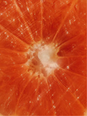 Filoi by BIRGIT ANDIEL Energy Body Wash, Grapefruit