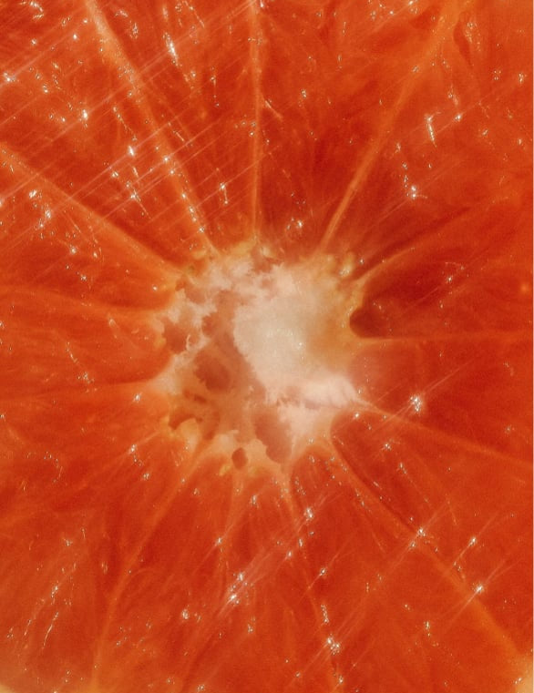 Grapefruit.jpg