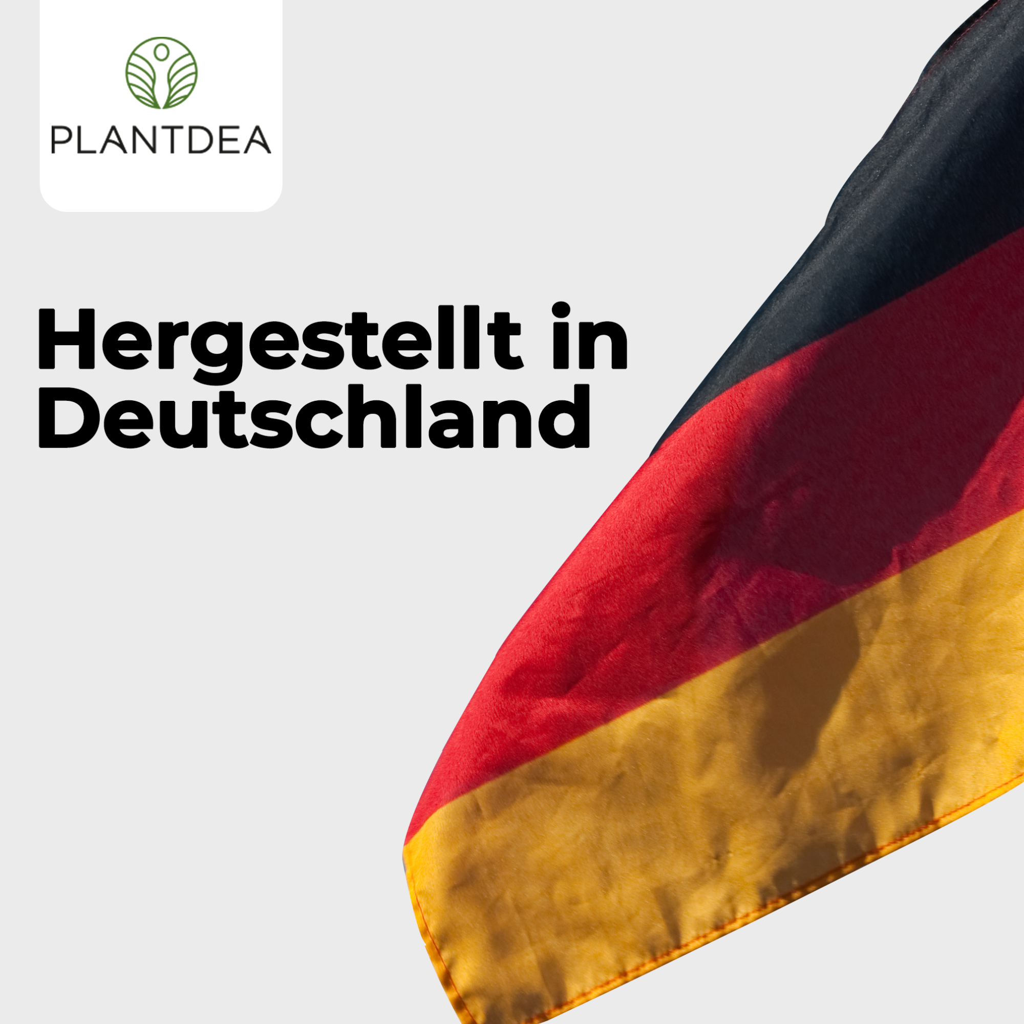 Shilajit Extrakt Kapseln