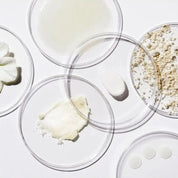 Immune Support Supplement by Dr. Noel – IMMUNEBALANCE+ for Daily Wellness