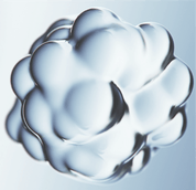 Cognitive Support Supplement – NEUROGUARD+ Capsule Formula