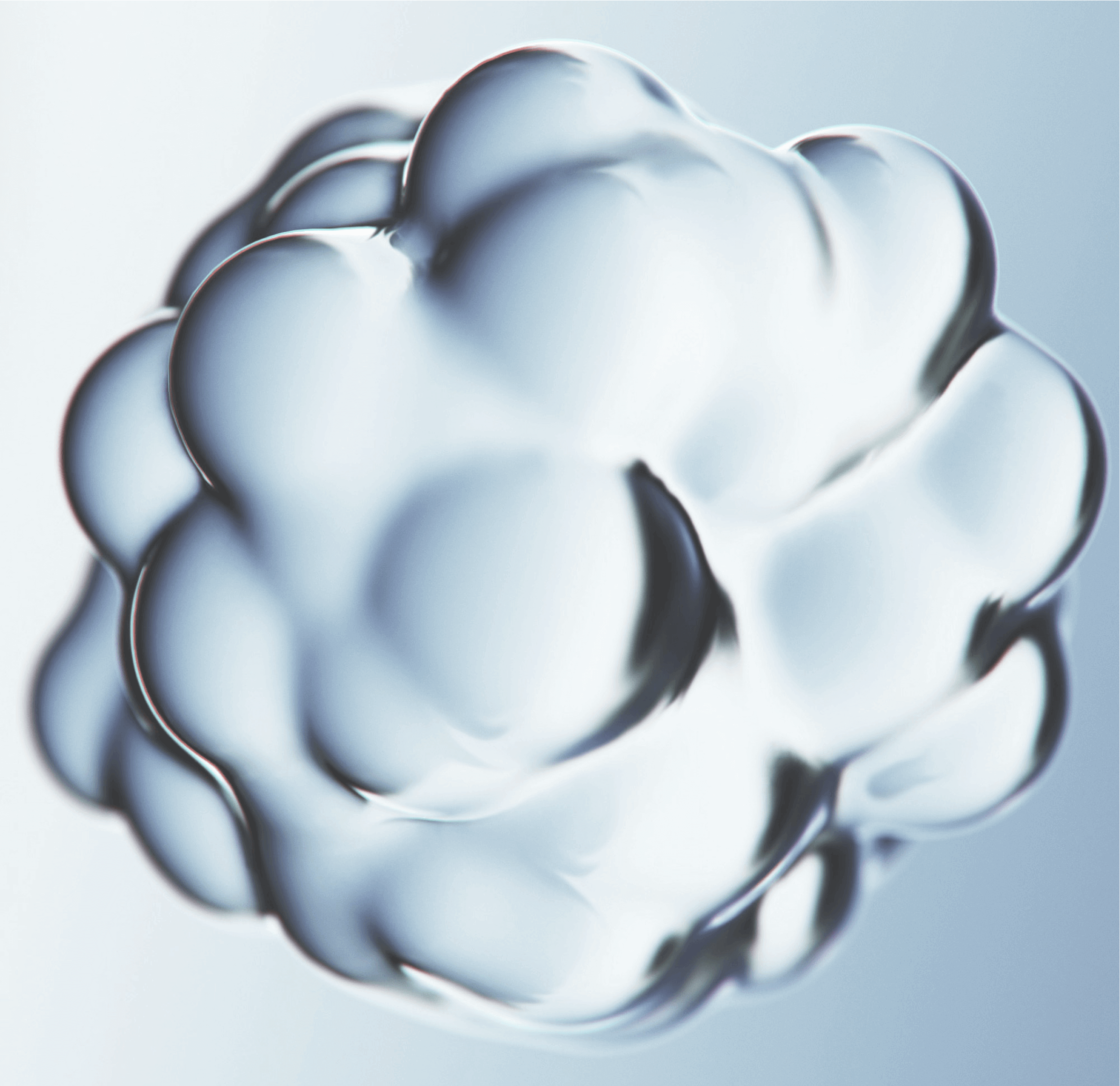 Cognitive Support Supplement – NEUROGUARD+ Capsule Formula